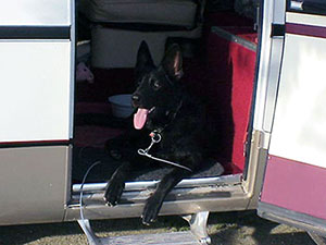 axel 2001